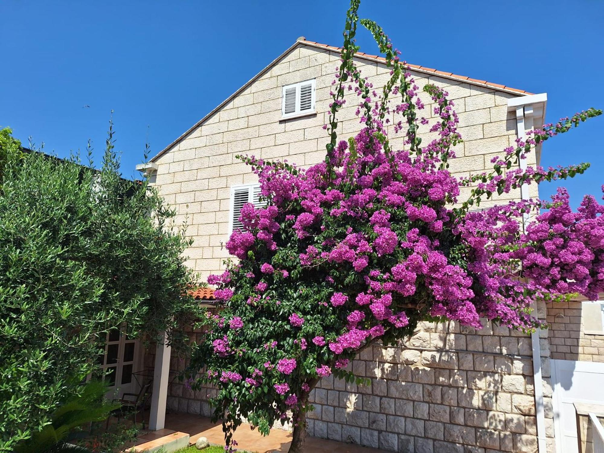 Blue Promenade Apartments Dubrovnik Exterior photo
